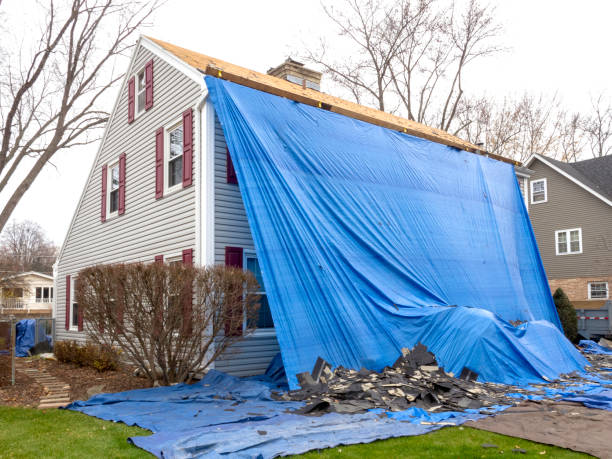 Best Fascia and Soffit Installation  in Andusia, AL