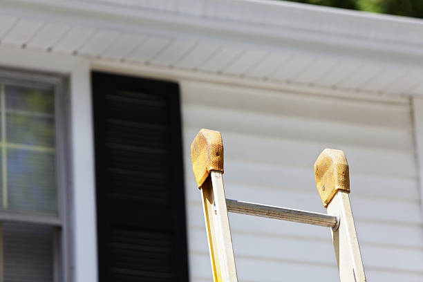 Best Aluminum Siding Installation  in Andusia, AL