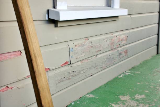 Best Wood Siding Installation  in Andusia, AL